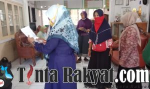 ok3 ok3