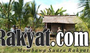 IMG 20201117 WA0008