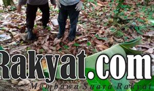 IMG 20201119 WA0024