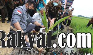 IMG 20210305 WA0081