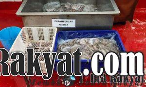 IMG 20210606 WA0029