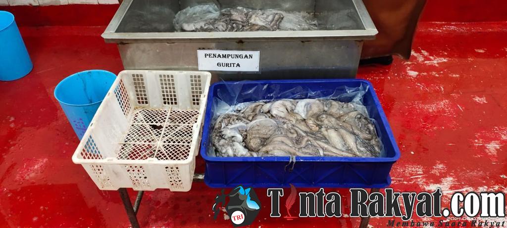 IMG 20210606 WA0029