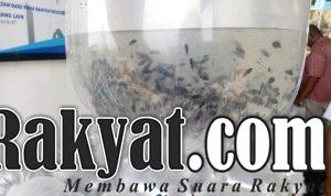 IMG 20210627 WA0046