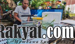 IMG 20210701 WA0026
