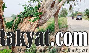 Marki 20210820 104012805