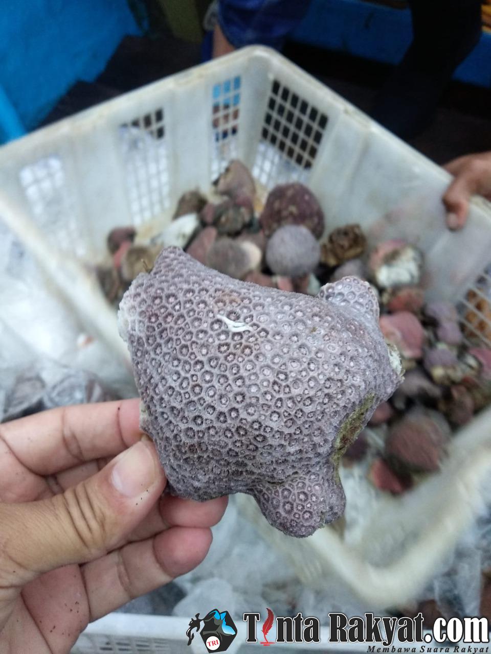 IMG 20211126 WA0045