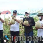 Bupati Lamongan Yuhronur Efendi bersama Ketua DPRD Lamongan Abdul Ghofur, Wakil Bupati Abdul Rouf, dan Sekda Moh. Nalikan melakukan petik melon secara langsung