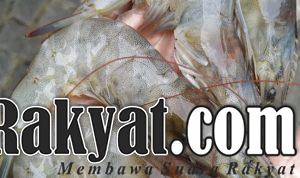 IMG 20220312 WA0012