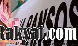images 1