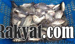 IMG 20220412 WA0001