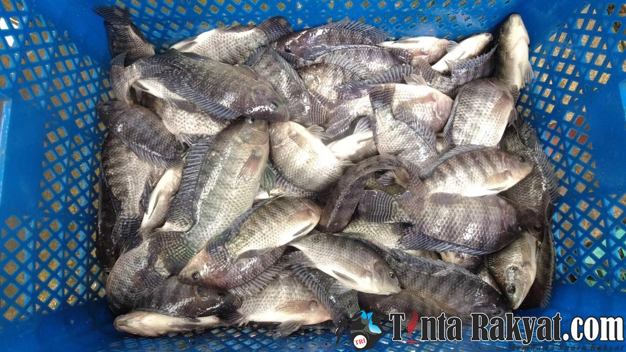 IMG 20220412 WA0001