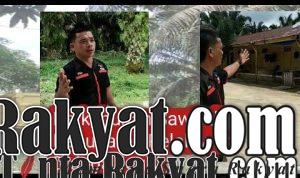 Banyak Perkebunan Sawit di Kabupaten Pelalawan Diduga Ilegal hqdefault 1