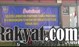 IMG 20230512 171508