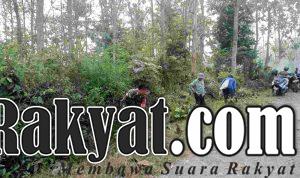 IMG 20230712 WA0014 compress57