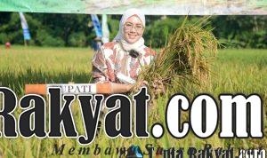 IMG 20230731 WA0033