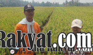 IMG 20230908 WA0021 compress63