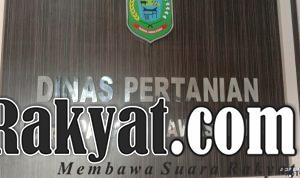 IMG 20231030 143951