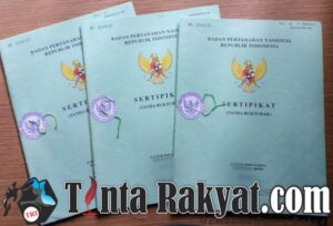IMG 20231108 010646 compress6