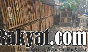 IMG 20240209 134835
