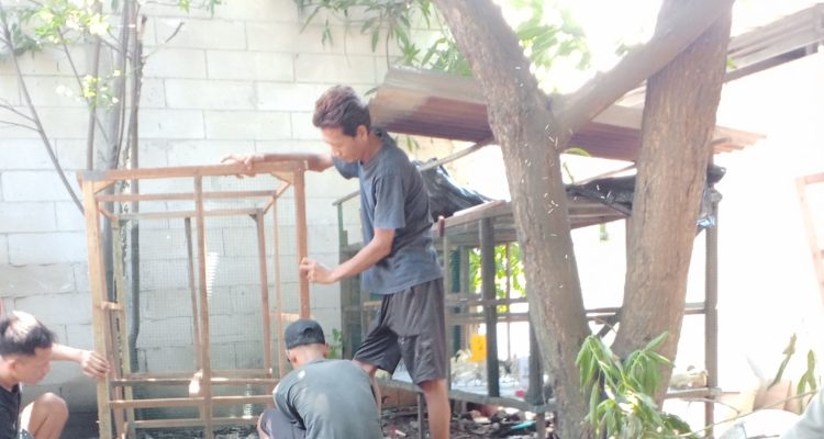 IMG 20240210 125011