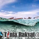 IMG 20240624 WA0009