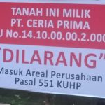 IMG 20240719 WA01263
