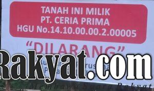 IMG 20240719 WA01263