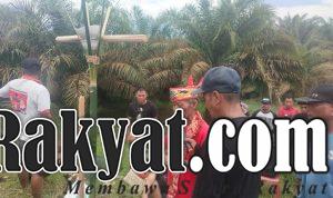 IMG 20240803 WA0096