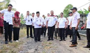Ketapang-864x380_hiavtylN1y Ketapang 864x380 hiavtylN1y