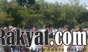 IMG 20241111 WA0037