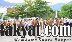 IMG 20250204 WA0045