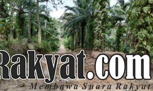 IMG 20250221 WA0034 EVAG8FXr7N