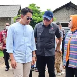 PJU
