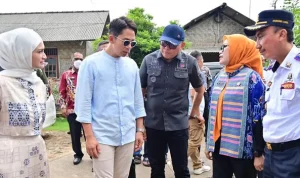 PJU