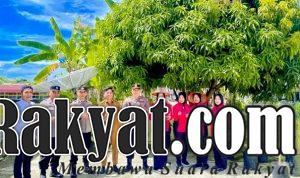 IMG 20250302 114954