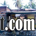 IMG 20250322 055440