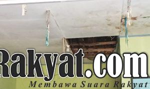 IMG 20250529 WA0031 2