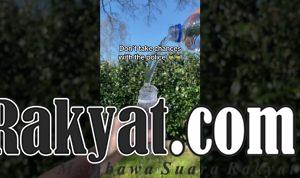 maxresdefault 57