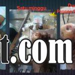 IMG 20260214 WA0012