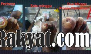IMG 20260214 WA0012